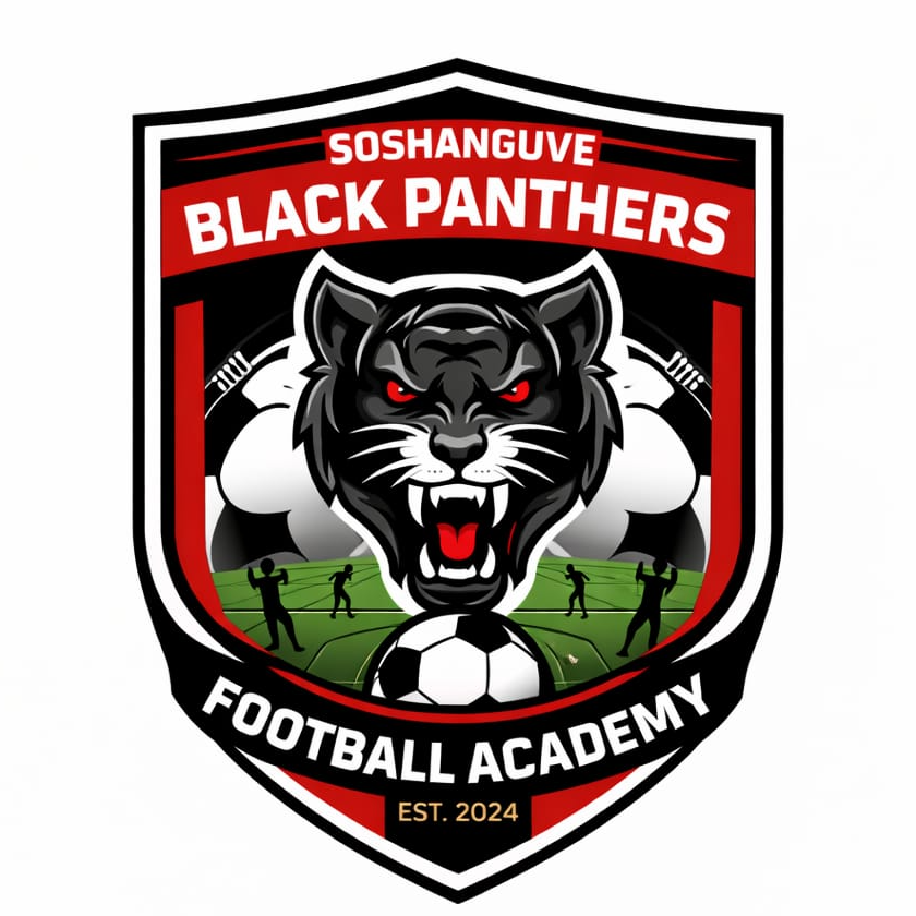 Soshanguve Black Panthers Fa logo