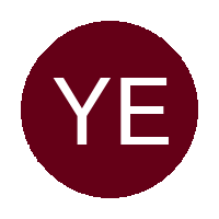 Young Eagles logo