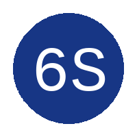 6 SAI Army logo