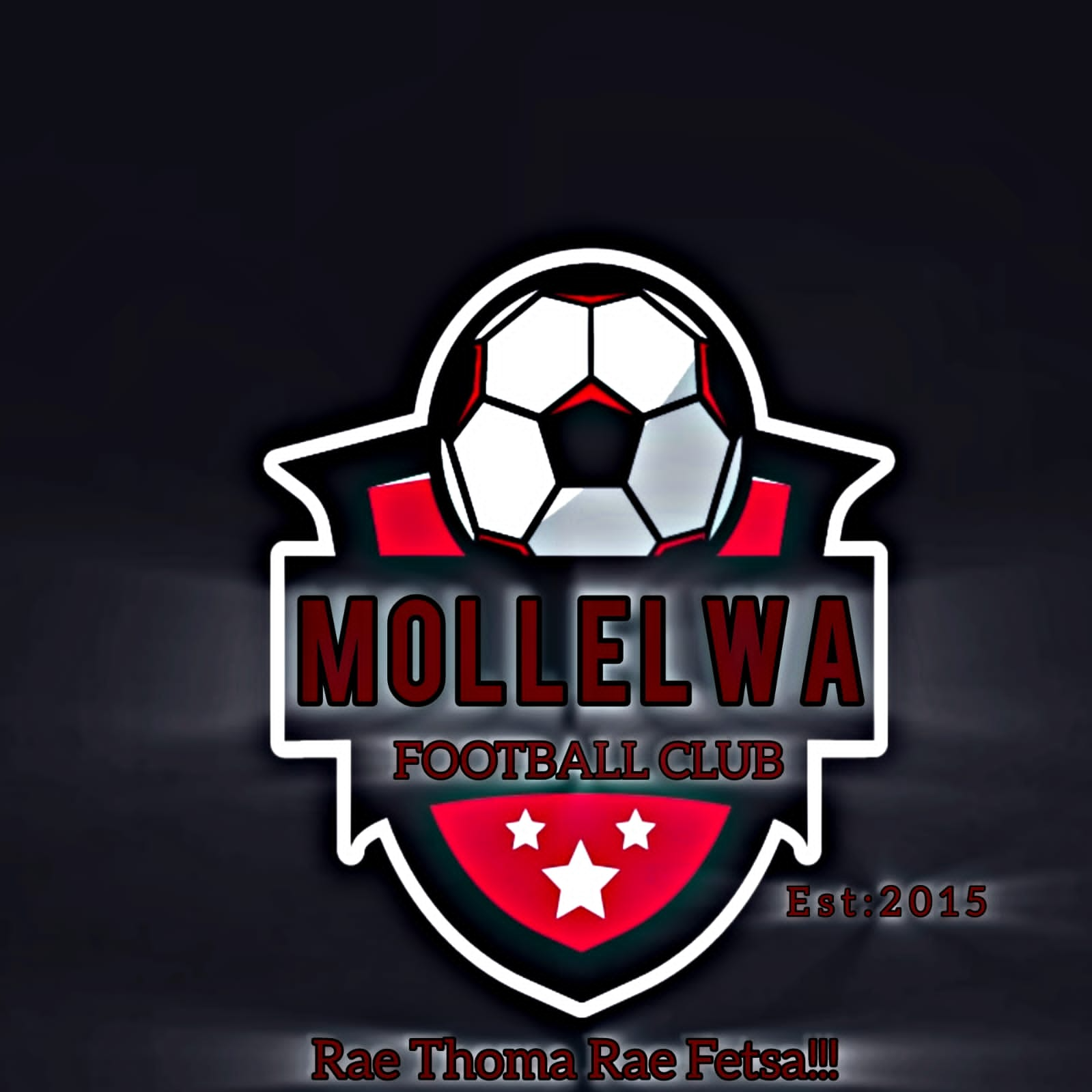 Mollelwa FC logo