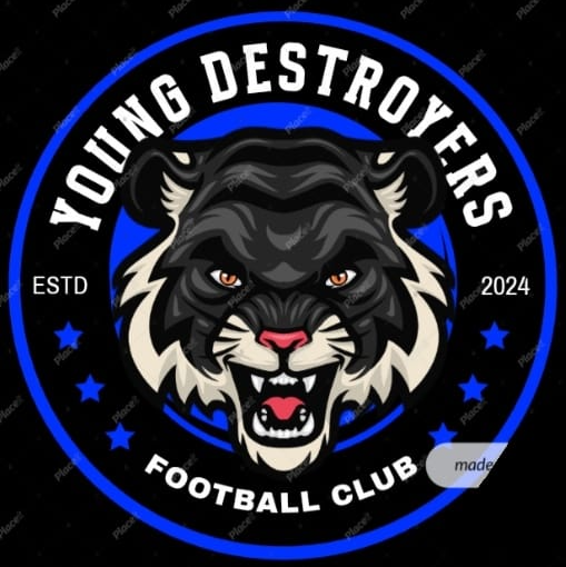 Young Destroyers FC logo
