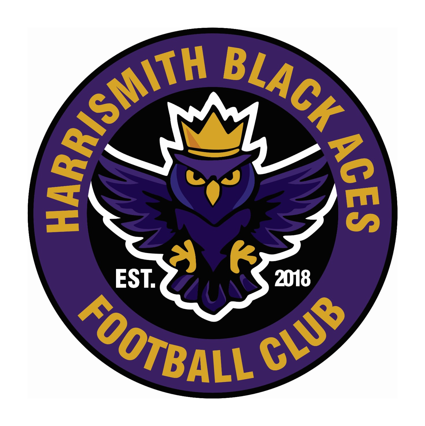 Harrismith Black Aces FC logo