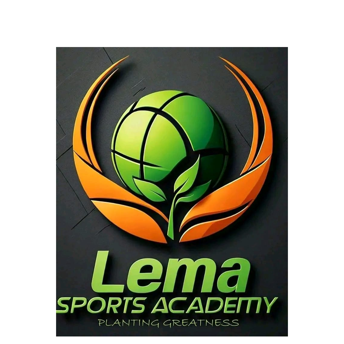 Lema Sports Academy FC logo