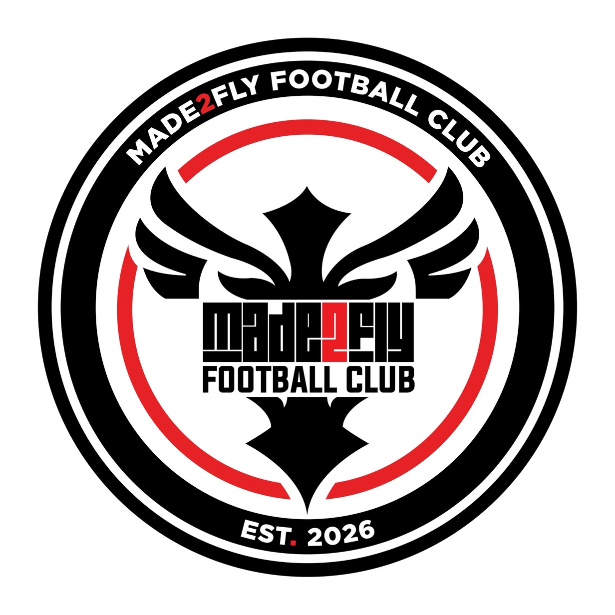 Ambassadors FC logo