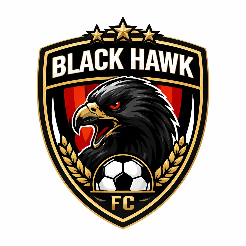 Team logo