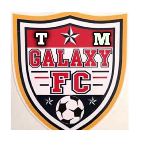 TM Galaxy logo