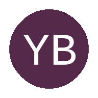 Young Brains FC logo