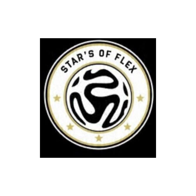 Stars Of Flex logo