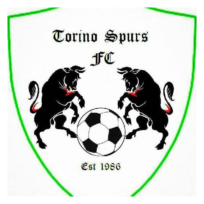 Torino Spurs logo