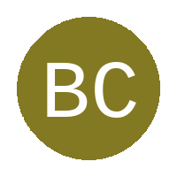 Bay City FC logo