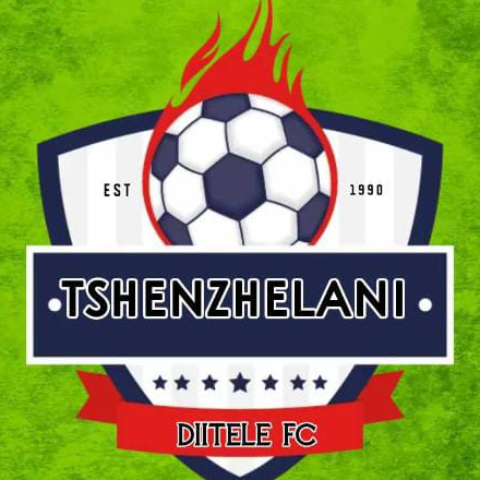 Tshenzhelani Diiteleni logo
