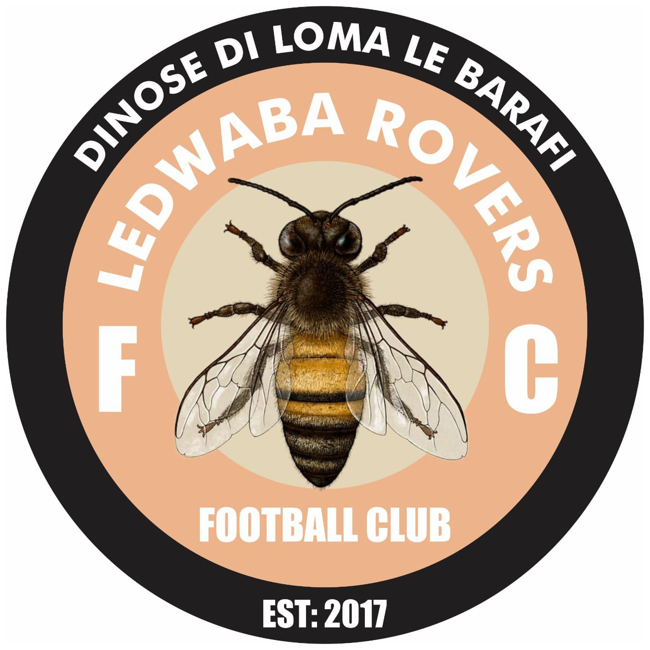 Ledwaba Rovers logo