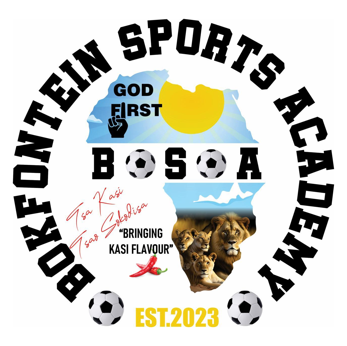 Bokfontein Sports Academy logo