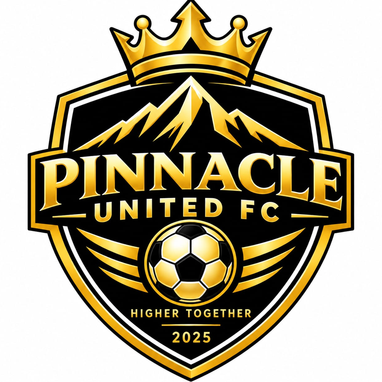 Pinnacle United FC logo
