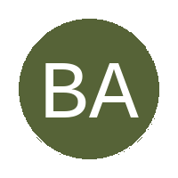 BS Academy logo