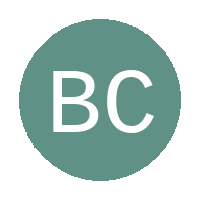 Bay City FC logo