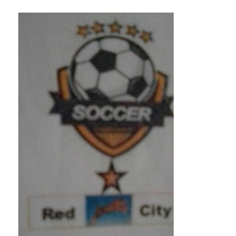Red City FC logo