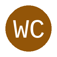 Wepener City Stars FC logo