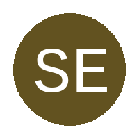 Super Eagles FC logo