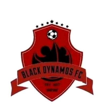 Black Dynamos FC logo