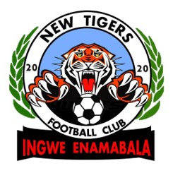 New Tigers FC logo