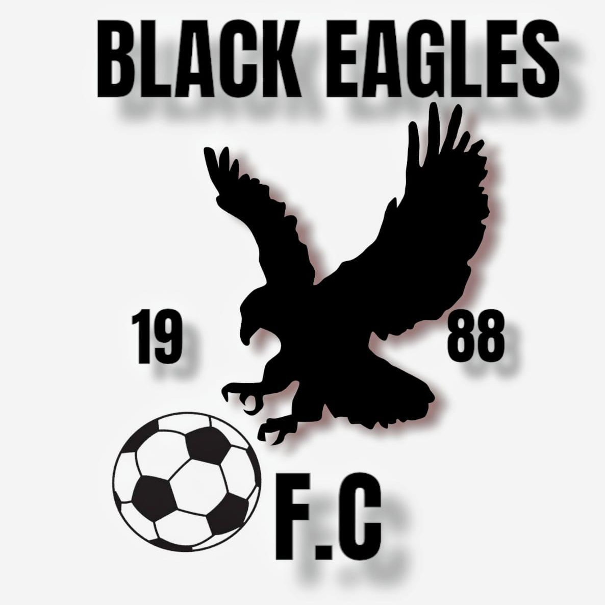 Black Eagles FC logo