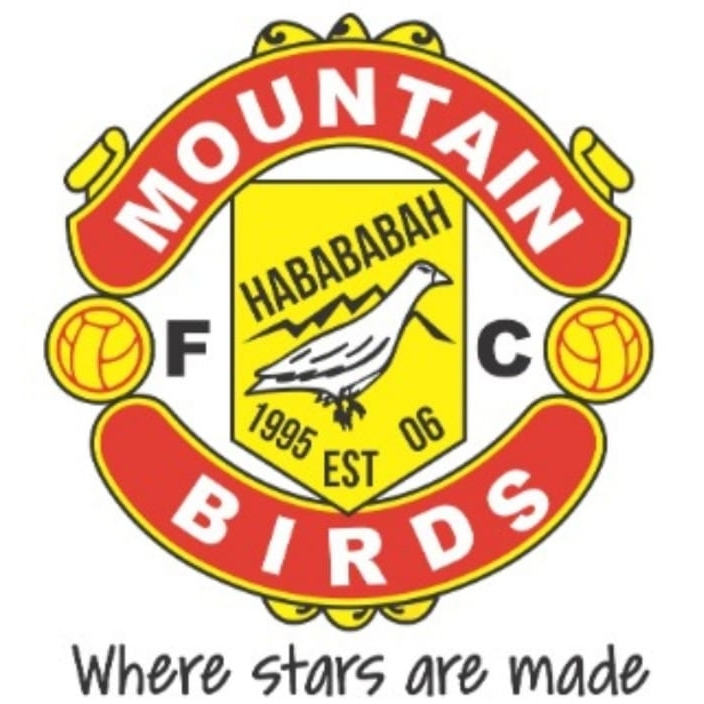 Mountain Birds logo