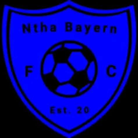 Ntha Baryen FC logo