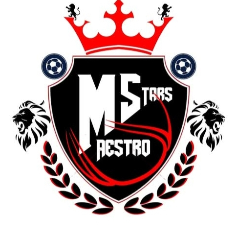 Maestro Stars FC logo