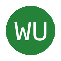Wits United FC logo