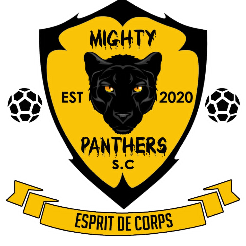 Mighty Panthers FC logo