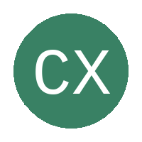 Capricorn XI FC logo