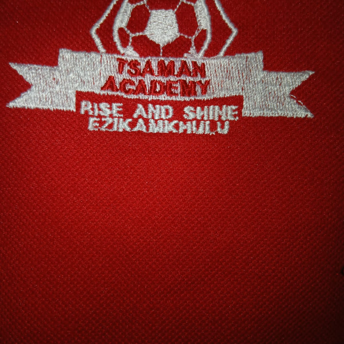 Tsaman Academy logo