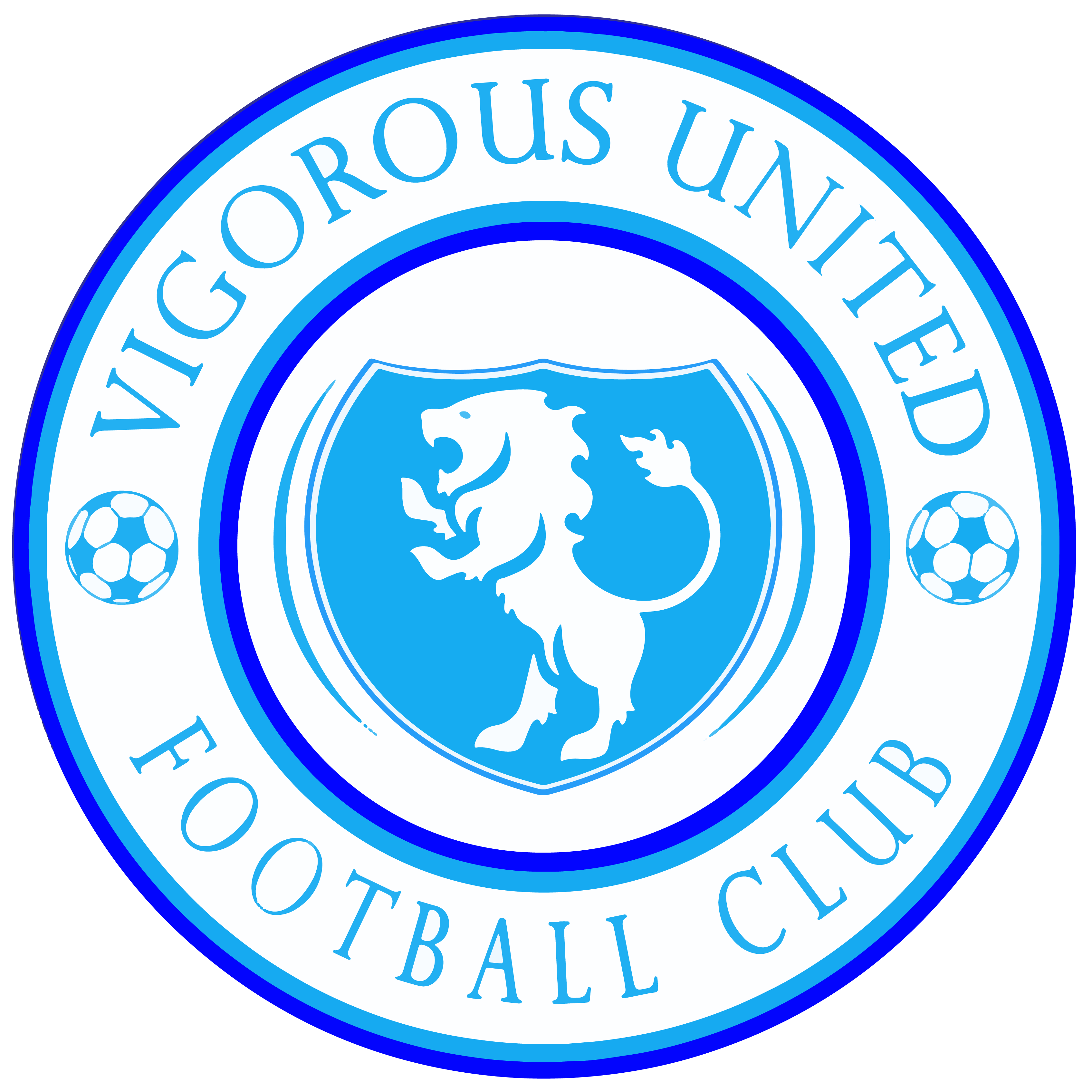 Vultures FC logo