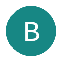 Bongisihle logo