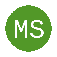Morning Stars logo