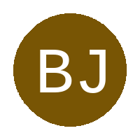 Blue Jaccaranda FC logo