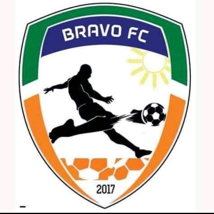 Team logo
