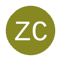 Zation City FC logo