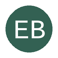 Eleven Bright Stars FC logo