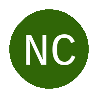 New City FC logo