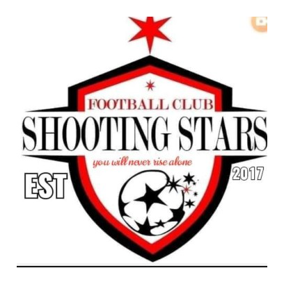Shooting Stars FC logo