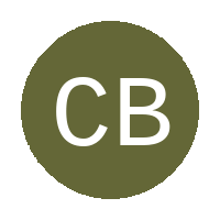 City Birds logo