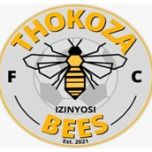 Thokoza Bees FC logo