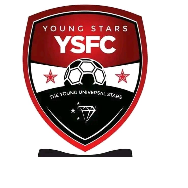 Daveyton Young Stars logo