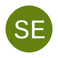 Super Eagles Ladies FC logo