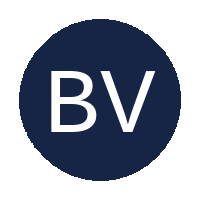 Black Vultures FC logo