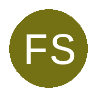 Flying Stars logo