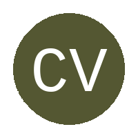 Celta Vigo Academy FC logo