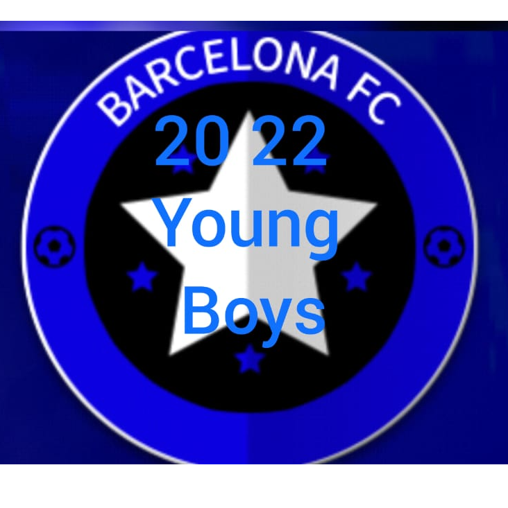 Barca logo